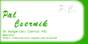 pal csernik business card
